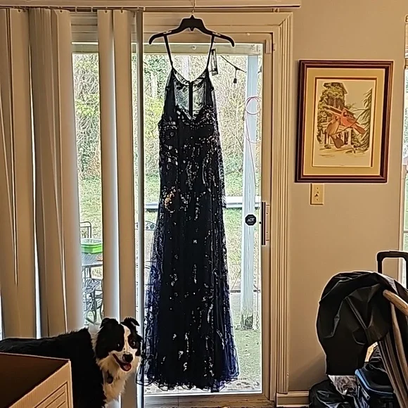 Saks Fifth Avenue | Dresses | Mcdougal Midnight Formal Gown Size 2 Unworn | Poshmark Saks Fifth Avenue | Dresses | Mcdougal Midnight Formal Gown Size 2 Unworn | Poshmark